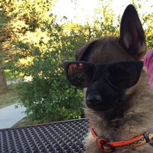 Meet your Posher, Shyla